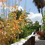 Guacimeta 2*