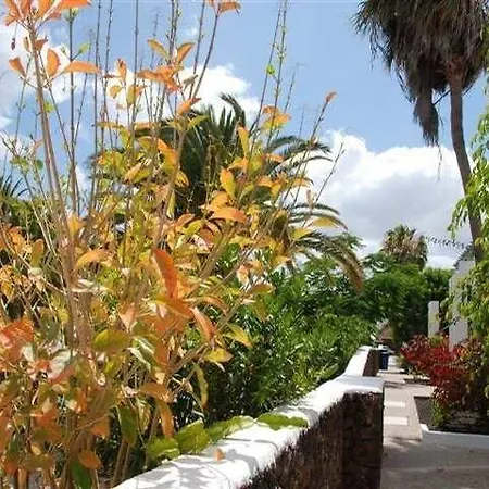 Guacimeta 2*